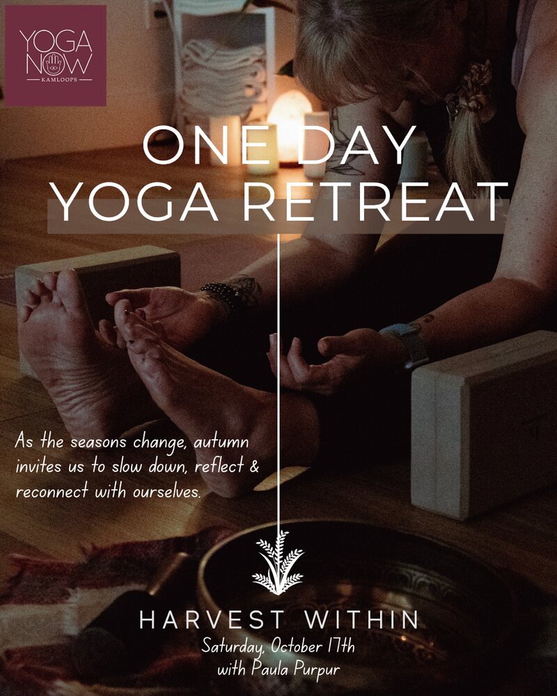 Harvest Within - one day yoga retreat, Saturday October 17th with Paula Purpur